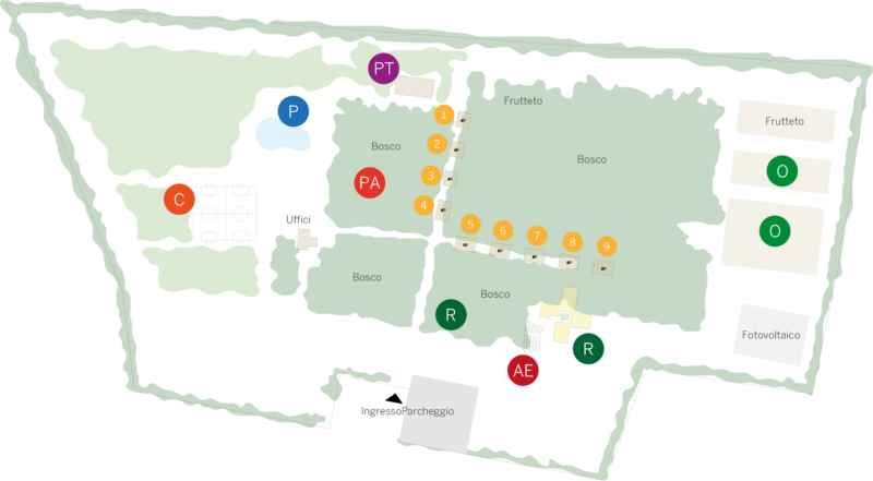 Invictus Camp – progetto sostenuto dalla Fondazione