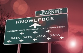 Progetti di formazione per giovani - Fondazione Cecilia Bernardini Onlus